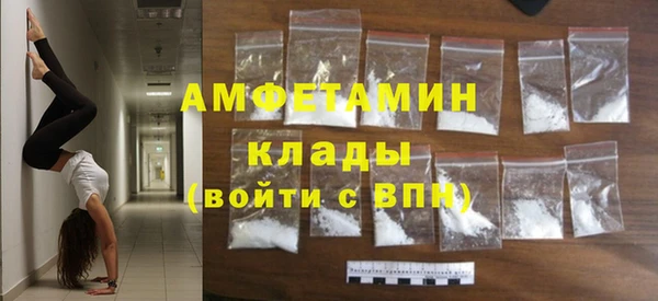 индика Ельня