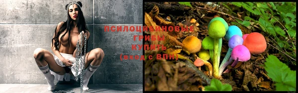 молекула духа Алексеевка