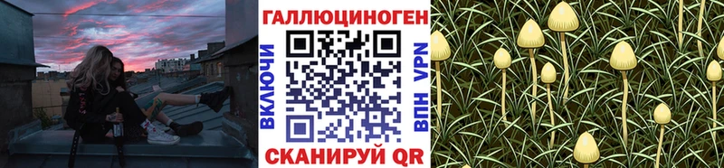 Галлюциногенные грибы Magic Shrooms  где купить наркоту  Нижние Серги 